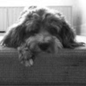 Meet your Posher, Sascha